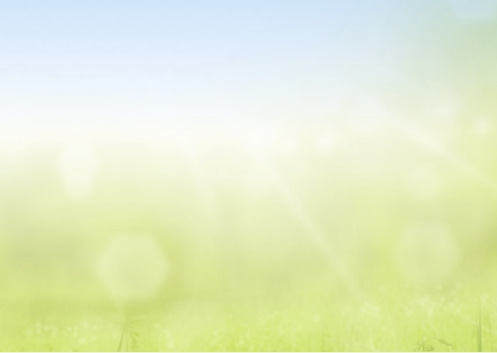 CANCELLED – Bingham Summer Fair